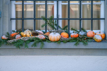 Christmas and New Year window decoration with pumpkins and fir branches covered with snow.