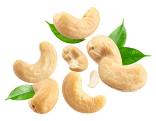 Cashew Nuts Falling Motion on Transparent Background