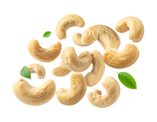 Cashew Nuts Falling Motion on Transparent Background