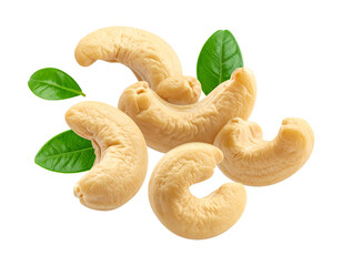 Cashew Nuts Falling Motion on Transparent Background