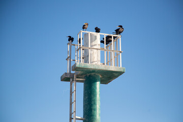 El Cuyo, Mexico; November 1, 2025: Footbridge leading to the sea in a Yucatan fishing village.