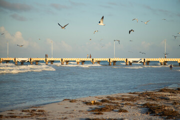 El Cuyo, Mexico; November 1, 2025: Footbridge leading to the sea in a Yucatan fishing village.
