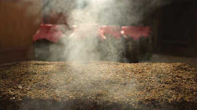 Hot Steaming Grains in Brewery Fermentation Workshop with Industrial Equipment