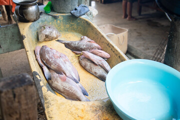 El Cuyo, Mexico; November 1, 2025: Local fresh fish restaurant in El Cuyo, a fishing village in the Yucatan region of Mexico.