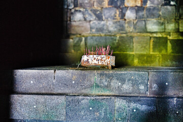 The majestic ruins of Candi Sewu © franck