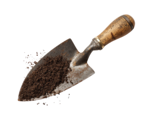 Rusty trowel, dark soil clinging, aged wood handle