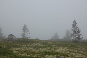 Autumn landscape of the polar tundra. A foggy, rainy day in late autumn.