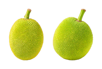 Two vibrant green jackfruit with textured skin and stem on black background, graphic resource PNG set, transparent background