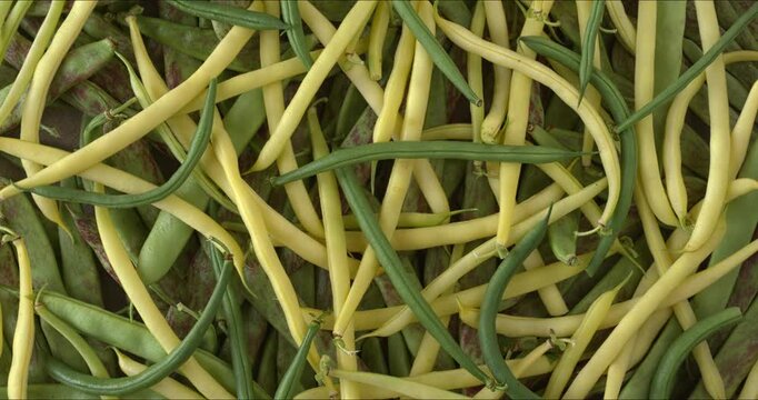 Background texture of freshly harvested different varieties of string beans. Flat lay. Table spin.