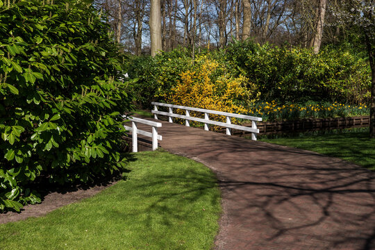 Empty white wooden bridge in the park