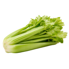 celery on white background