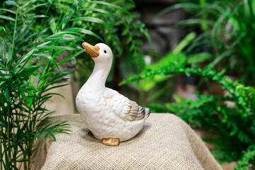 Cute duck figurine among green home plants.