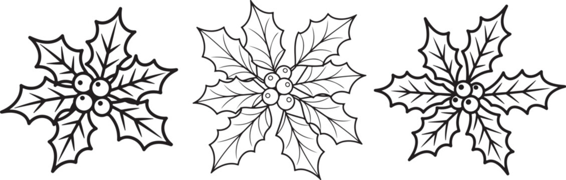 set of Christmas holly leaves and berries line art, coloring book page line art drawing, vector and illustration