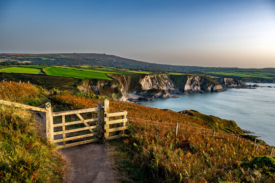 Coastal Path At The Wild Atlantic Coast Of Dinas Head In Pembrokeshire In Wales, United Kingdom