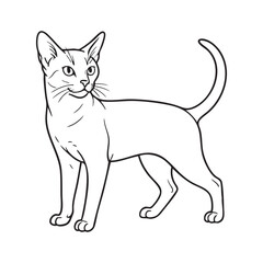 Elegant Standing Abyssinian Cat Profile Silhouette or outline Vector on white background 