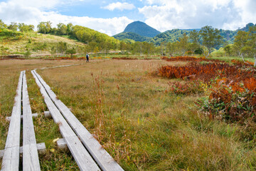 田ノ原湿原のハイキング