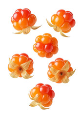 Fresh cloudberries with sepals isolated on transparent background