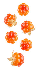 Ripe cloudberries isolated on white background, floating composition