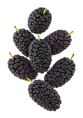 Fresh ripe mulberries isolated on white background, detailed closeup