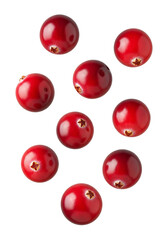 Fresh Cranberries Isolated on Transparent Background