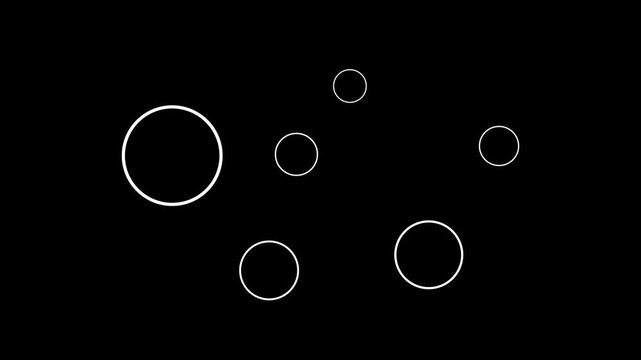 Circle bubbles grow from center. 4K animation which circles on the screen grow