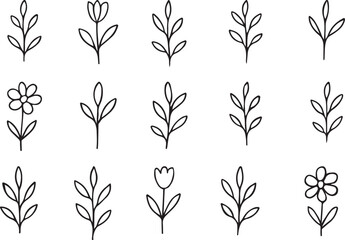 Collection of hand-drawn botanical elements minimalist floral sprigs and flowers for design projects