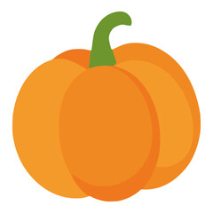 fresh pumpkin nature food healthy flat color vector illustration template design
