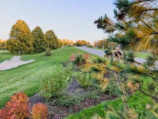 Peaceful park landscape with pine branches and walking path under clear sky in early autumn morning