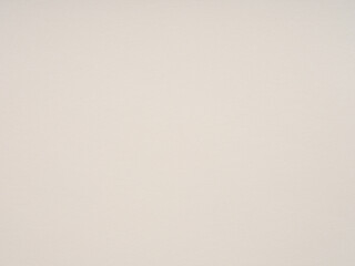 Fine-textured eggshell white canvas with a delicate woven pattern