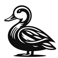 Illustration of a black duck with detailed feathering and a curved neck standing on its feet gracefully