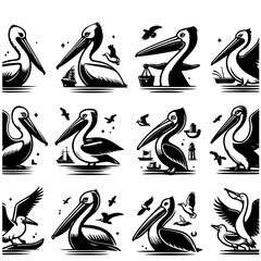 Collection of stylized pelican illustrations with various nautical elements and birds in black and white