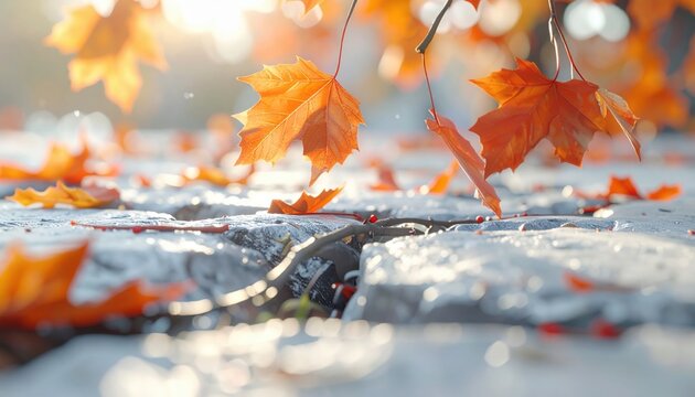 Autumn leaves falling on cracked pavement in a sunlit park nature scene captured from ground level evoking tranquility and change