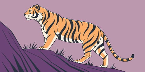 Vector illustration of tiger depicted separately on a plain purple backdrop.