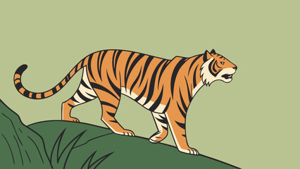 Vector illustration of tiger depicted separately on a plain green backdrop.