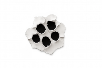 White paper, riddled with bullet holes and damage, forms a torn and abstract surface against a clear backdrop