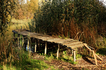 A wooden jetty framed by tall reeds, reaching from the bank into the still river. Autumn scenery.