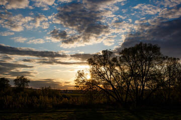 Dramatic sunset behind a large tree silhouette with sprawling branches. Golden hour light illuminates the cloudy sky above a serene rural landscape
