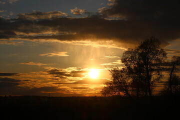 Golden sunset behind silhouetted trees creates a dramatic contrast. Bright sunrays pierce through...