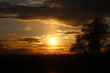 Vibrant sunset with a brilliant sun radiating through dramatic clouds. A solitary tree stands silhouetted against the fiery sky