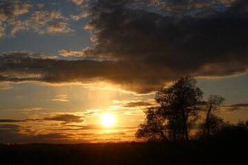 A breathtaking golden sunset illuminates silhouetted trees against a dramatic cloudy sky, creating a serene and powerful natural landscape