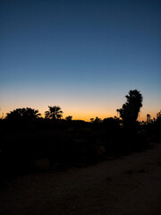 Experience the serene beauty of a Sunset Landscape with captivating silhouettes