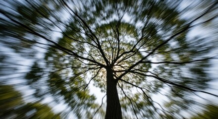 A tree with a blurred, circular effect, creating a sense of depth and movement.