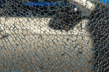 Intricate patterns of shattered glass reflecting a hidden world in a vibrant urban setting