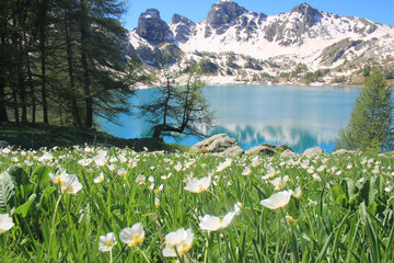 Allos Lake, Europe's largest natural high-altitude lake, Mercantour national park, French alps