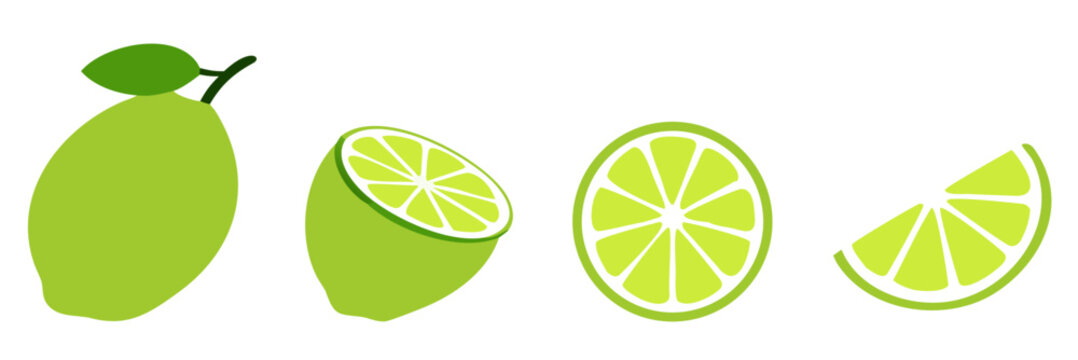 Vector lime slice green, Fresh fruits icon set. green cut citrus vector illustrations.