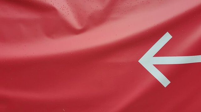 Arrow leads to crane bolt symbol banner bird animal red background moving forward nature peace longevity