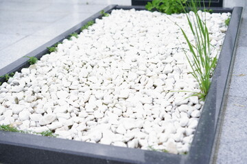 White gravel landscape design featuring stones and green plant accents in a modern setting