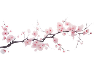 Sakura Cherry blossom Branch Clip Art