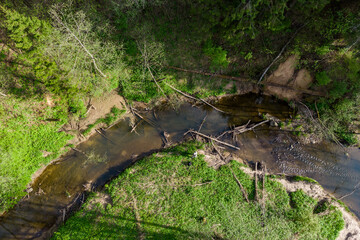Winding forest river with fallen trees and clear shallow water, surrounded by lush green banks and trees
