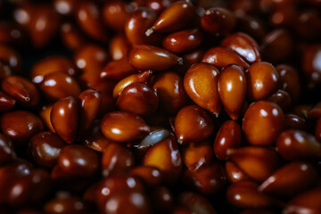 A detailed close-up of numerous shiny brown quince seeds, tightly packed and richly textured, highlighting their smooth surfaces and teardrop shape.